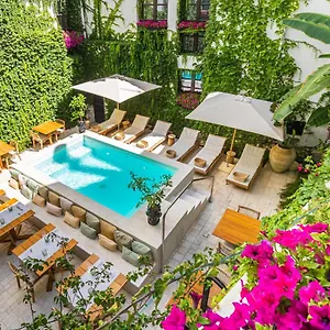 https://casa-nostra-boutique-hotel.sicilyhotelsitaly.net